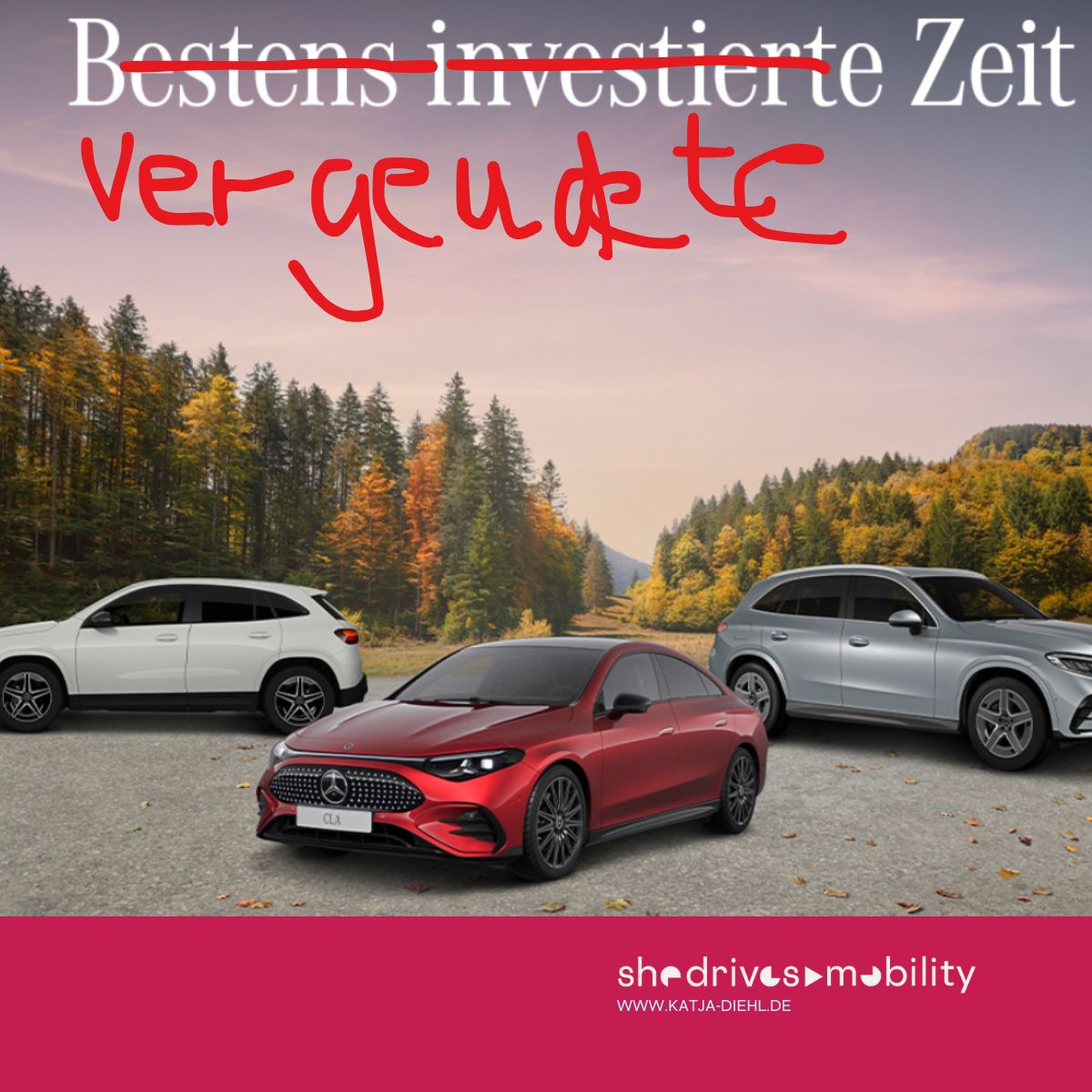 Drei Autos vor einem herbstlichen Wald.