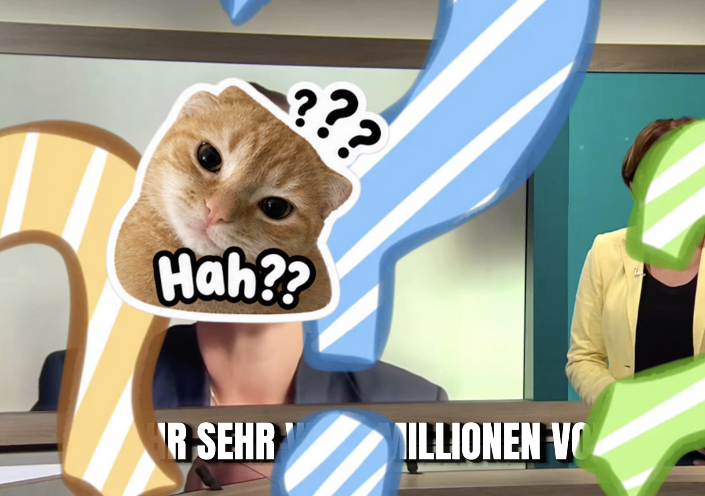 Zu Gast bei phoenix: Ich habe im Video eine Katze versteckt, um eine sehr fragwürdige Angabe unauffällig zu kennzeichnen.
